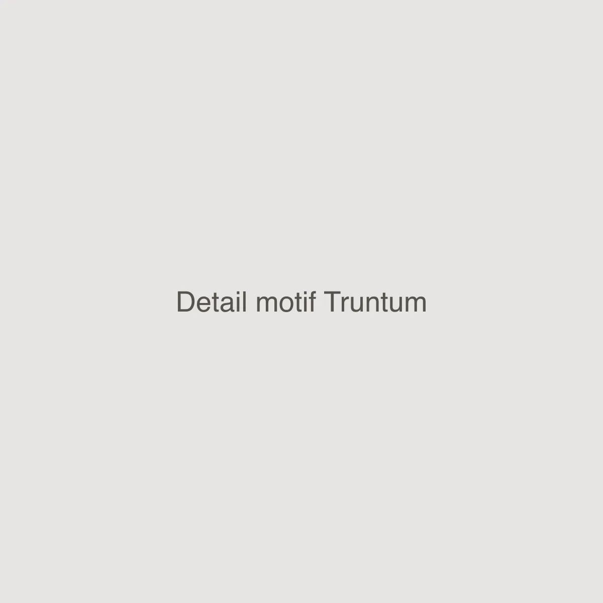 Detail motif Truntum